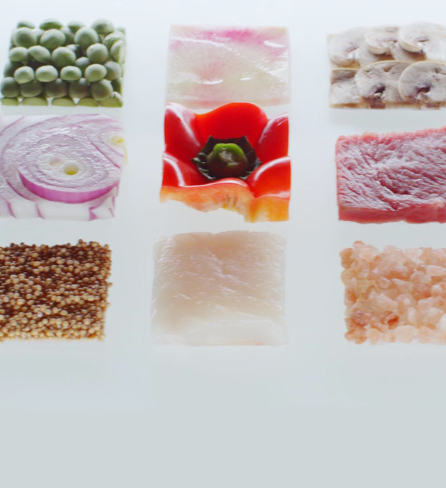 TOTAL FOODS SYSTEM / トータル フーズ システム