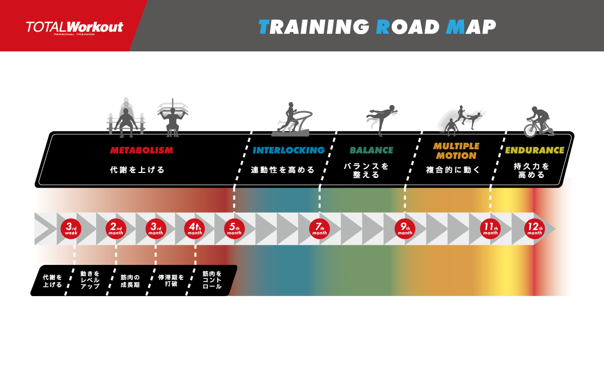 Training Roadmap